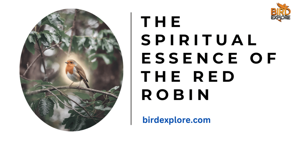 The Spiritual Essence of the Red Robin