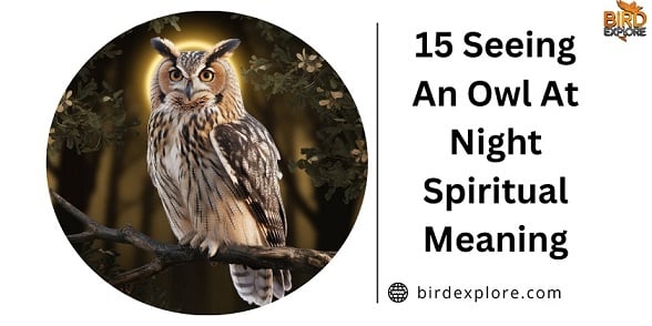 seeing an owl at night spiritual meaning