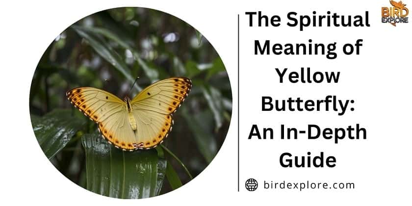 The Spiritual Meaning of Yellow Butterfly: An In-Depth Guide