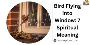 Bird Flying into Window: 7 Spiritual Meaning